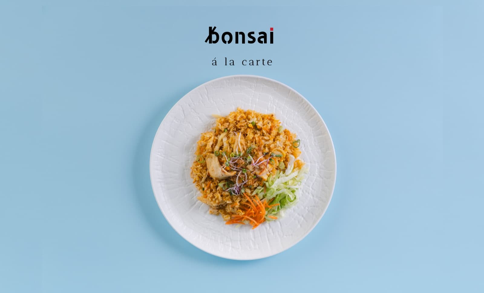 Bonsai a la carte, fried rice on a textured plate